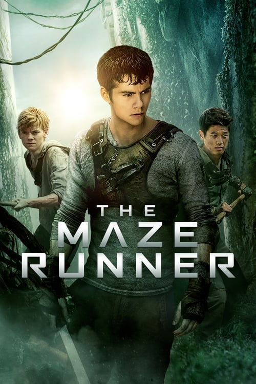 The Maze Runner Reaction Mashup